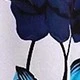 Azul Marino