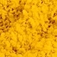 Amarillo