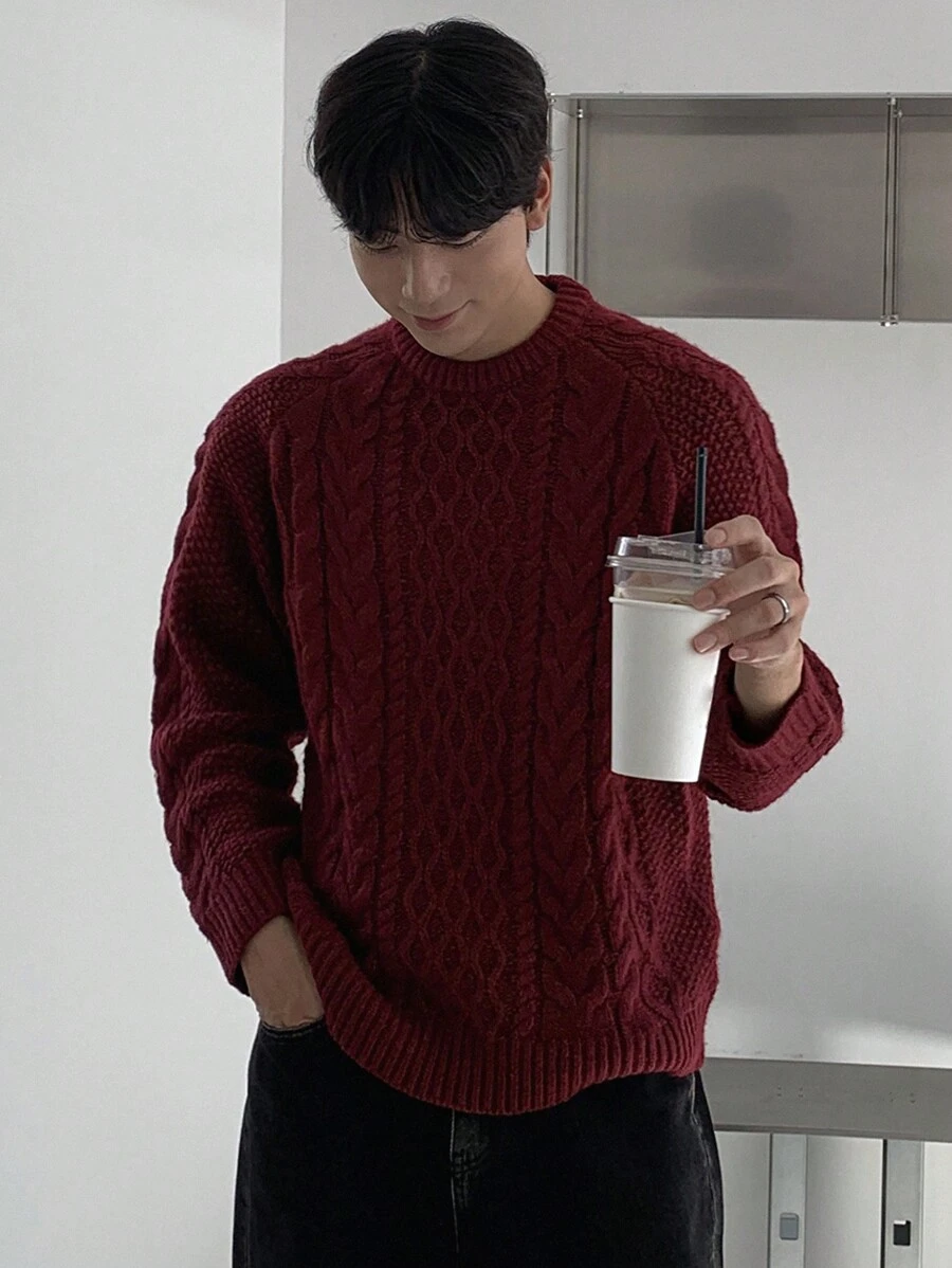 DAZY Men's Casual Cable Knit Crew Neck Sweater, Everyday Wear For Autumn