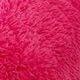Rosa Fucsia