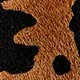 Marrón