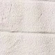 Albaricoque