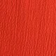 Coral Orange