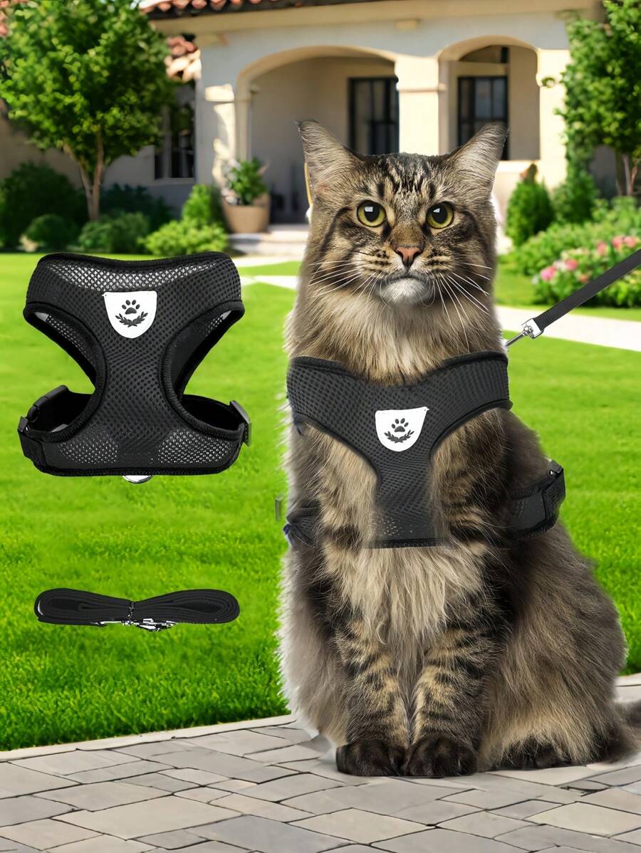 Harnais et laisse anti-fugue pour chat - Gilet maillé doux et réglable réfléchissant, harnais anti-fugue respirant pour chats, chatons, lapins (Noir)