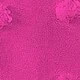 Rosa Fucsia