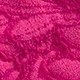 Rosa Fucsia