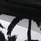 Blanco y Negro
