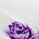 Morado Violeta