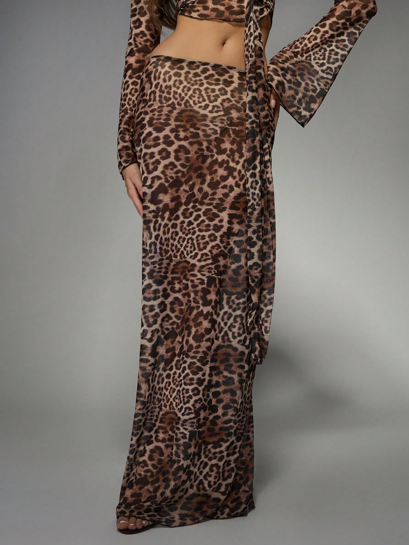 Mesh Leopard Print Crop Top Maxi Skirt Two-Piece Set｜MISSGUIDED