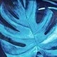 Azul Marino