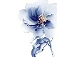 Blu e Bianco