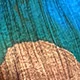 Multicolor