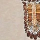 Albaricoque