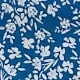 Blau-Weiß