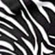 Blanco y Negro