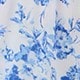 Blue and White