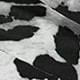 Bianco e nero