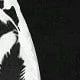 Blanco y Negro