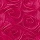 Rosa Fucsia