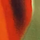 Multicolorido