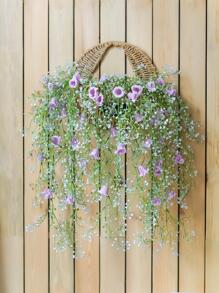 Morado