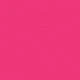 Rosa Fucsia