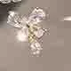 Transparent
