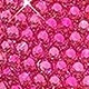 Rosa Fucsia