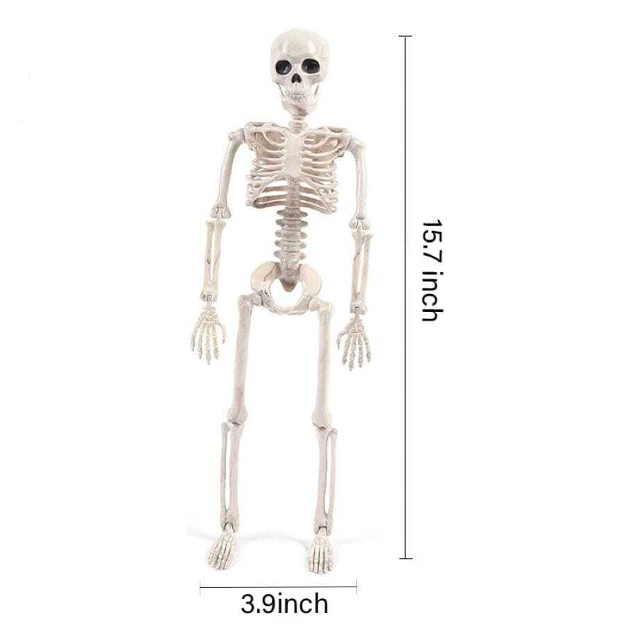 1pc Foldable Skull Skeleton Decoration In Modern Minimalist Style For Cosplay Prop, Party Supplies Best Gifts Birthday