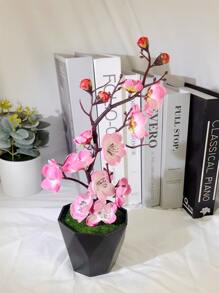 Roze