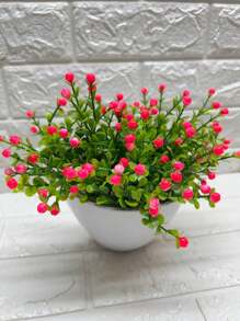 Rosa chiclete