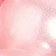 Rosa coral