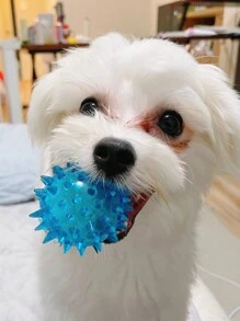 Bleu azur