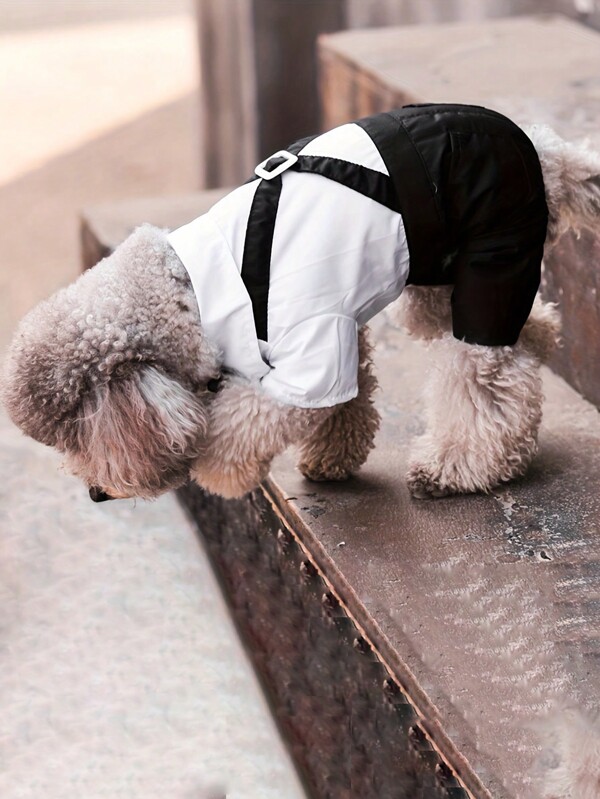 1pc Pet Dress With Bowknot, Fashionable Pet Clothing For Dogs, Dog