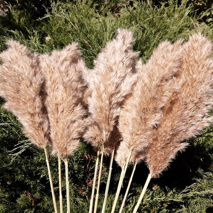 40pcs Dried Pampas Grass, Natural Fluffy Pampas, Bohemian Wedding Party And Home Decoration (17 Inches), Table Decoration,Centerpieces,Artificial Flowers,Plastic Flowers, Valentine Day, Gift Gifts Birthday Graduation