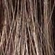 Ombre