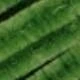 A-019 verde