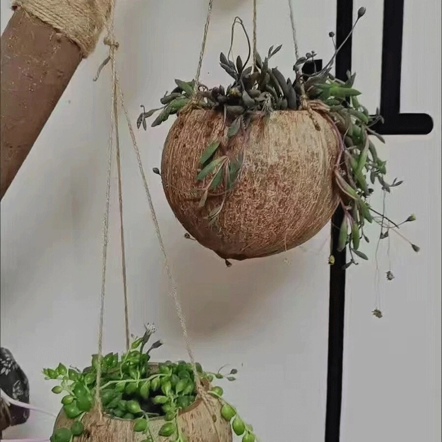 1pc 3.5-5 Inches Brown Coconut Shell Hanging Planter With Rope, Vintage Countryside Style Plant Pot Container For Restaurant Wall Decoration Hanging Basket
