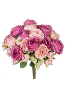 Rose vif