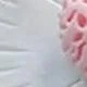 Weiss