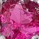 Rosa Fucsia