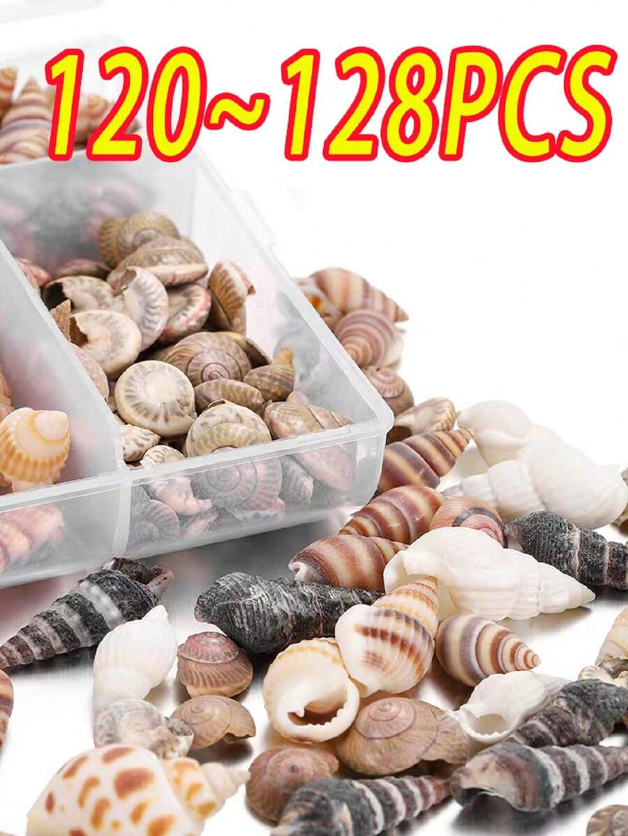 120-130pcs Beach Theme Seashells Decoration, Home Decor, Including Starfish, Sea Snails, Ocean Shells