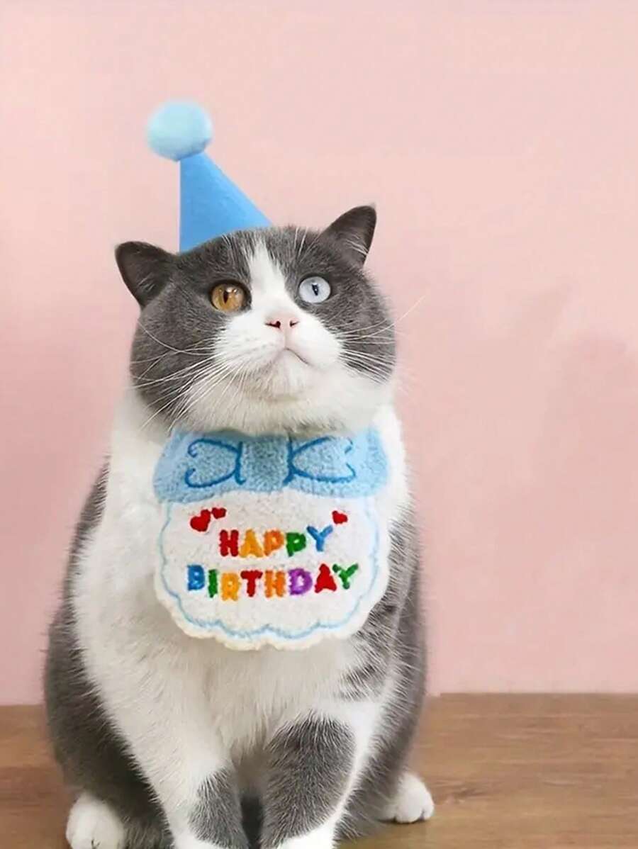 Cappello Di Compleanno Per Animali Domestici, Bavaglino Per Gatto, Decorazioni, Bavaglino Per Drool Per Cani Con Stampa Di Buon Compleanno
