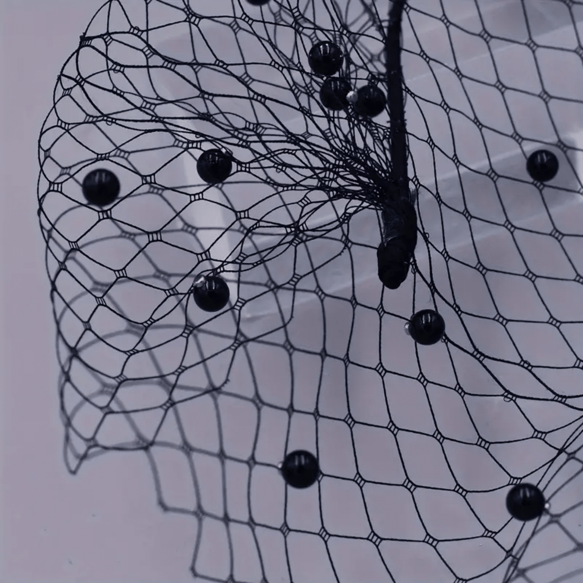 1pc Bridal Headpiece Fashionable Birdcage Blusher Veil And Rouge Veil