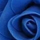 azul real