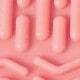 Rosa coral