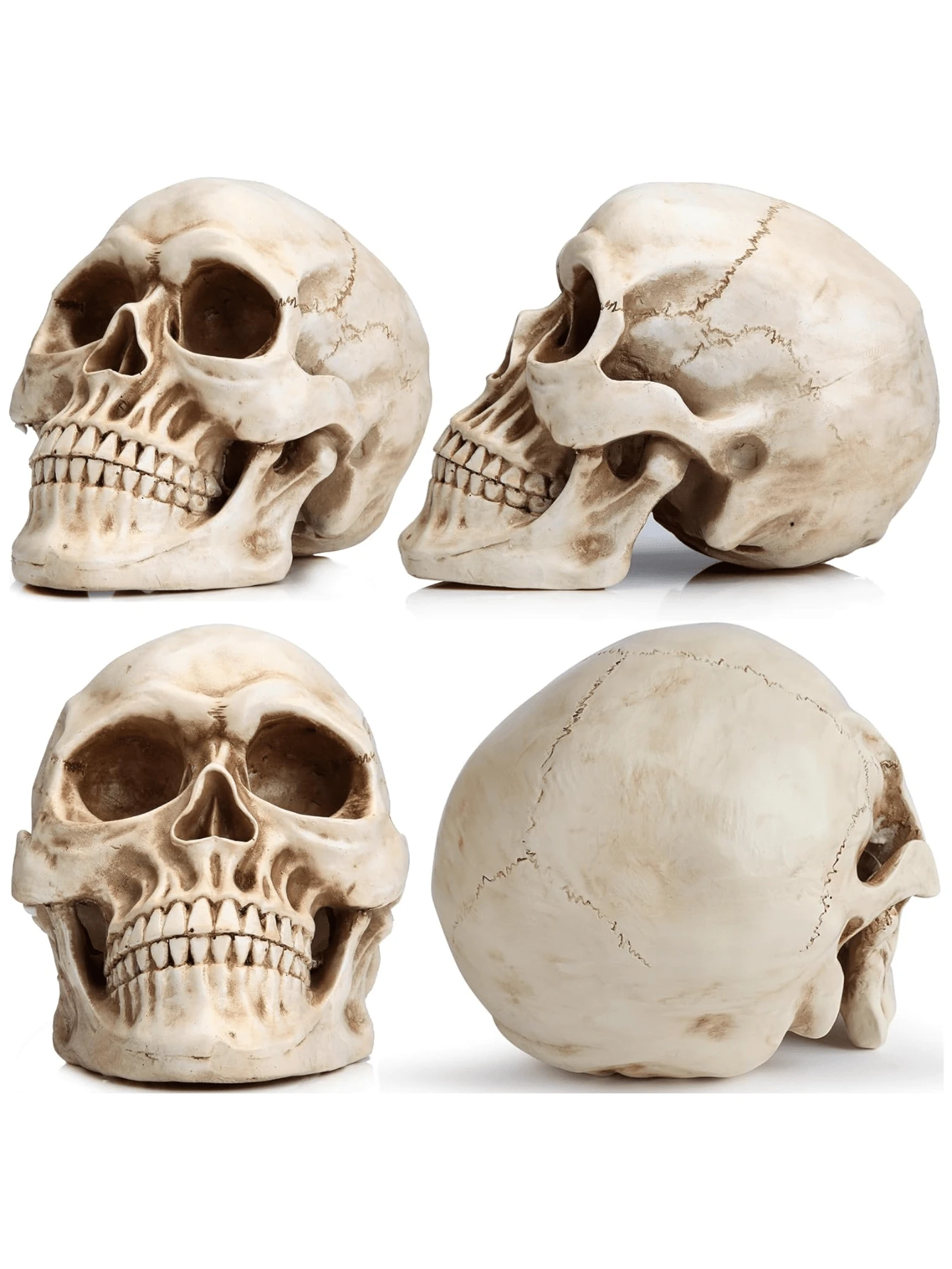 Modelo de Calavera Humana de tamaño Real, réplica Realista de Cabeza de Calavera Humana