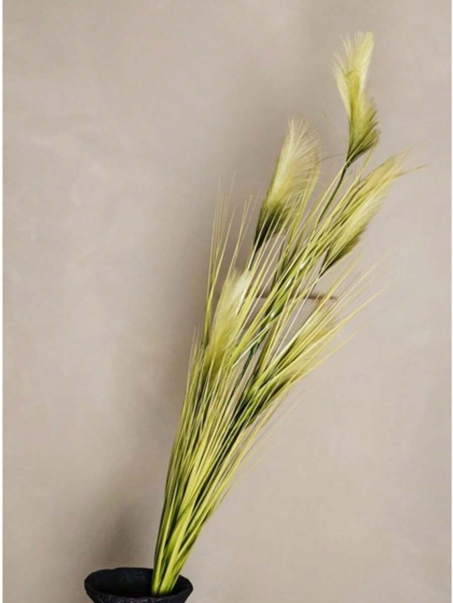 Planta Permanente Capim Pampas Palha