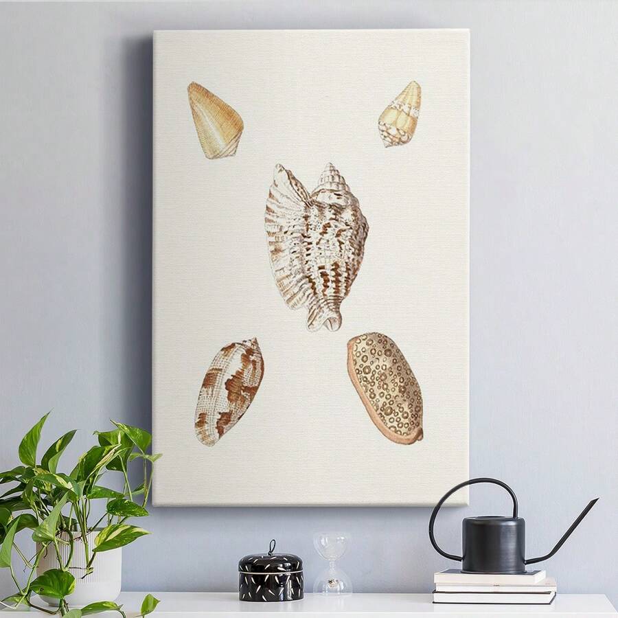 Pastel Knorr Shells VI Premium Gallery Wrapped Canvas - Ready To Hang