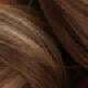 Brown Highlight